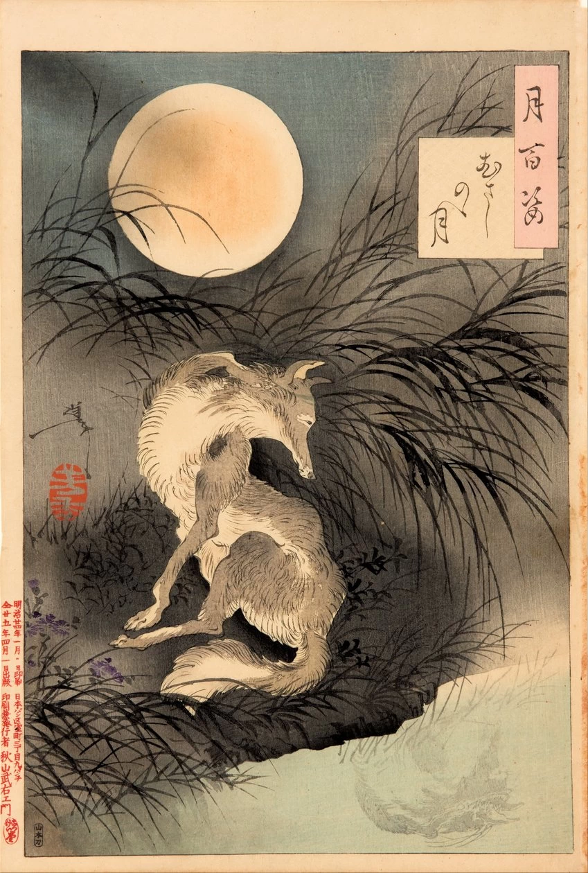 La luna sulla pianura di Musashi